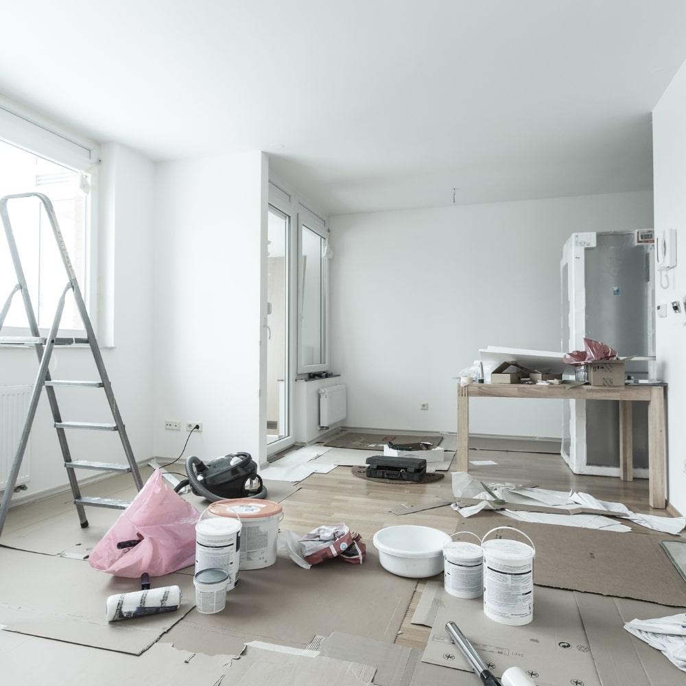 painting and renovation services
