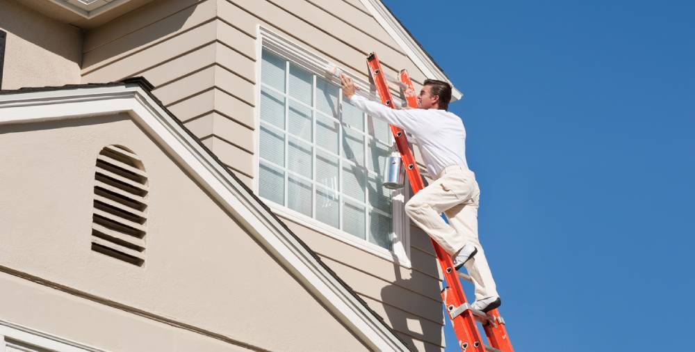 decorative wall painting services